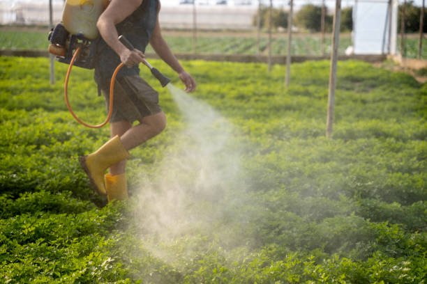 Pest Prevention Services in Middletown, PA