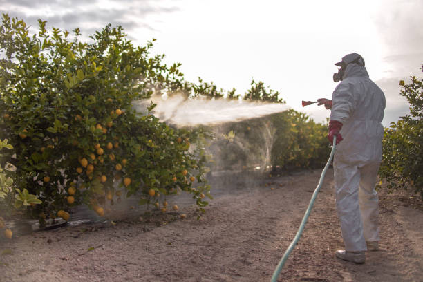 Best Mosquito Control Services  in Middletown, PA