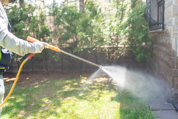 Insect Control in Middletown, PA