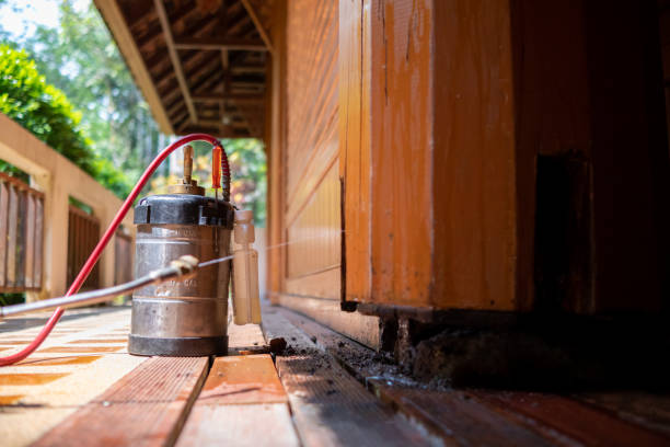 Best Exterminator Services  in Middletown, PA
